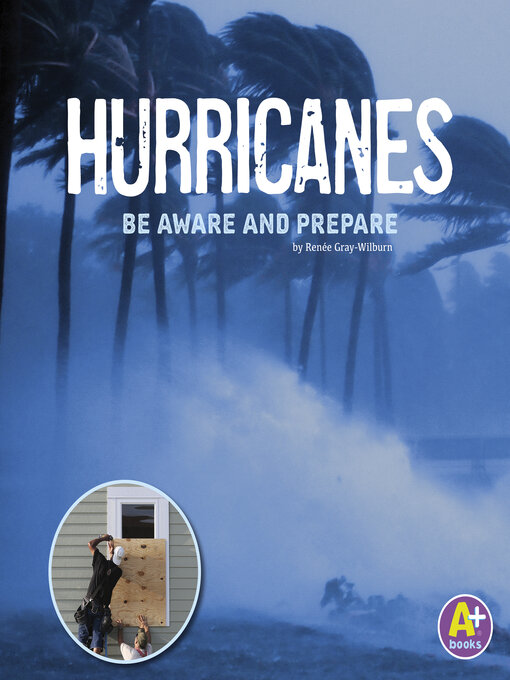 Cover image for Hurricanes